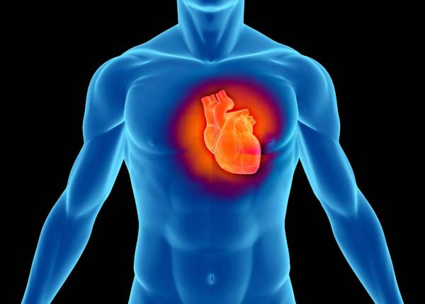 5 semne ca ai putea suferi un infarct simptome pe care sa nu le ignori 5 semne ca ai putea suferi un infarct simptome pe care sa nu le ignori