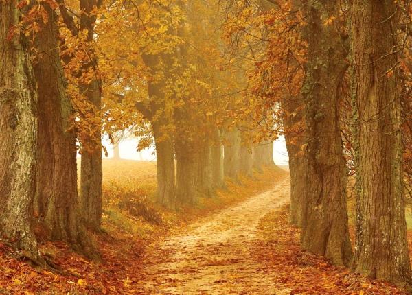 horoscop octombrie 2021 previziuni pentru toate zodiile