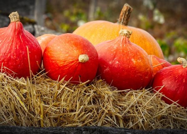 4 motive pentru care dovlecii chiar sunt buni pentru sanatatea ta