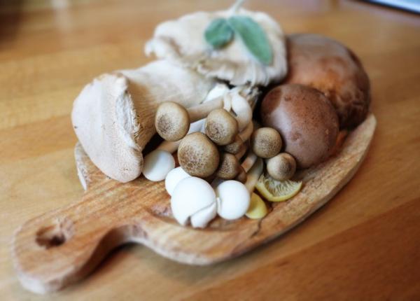 consumul de ciuperci efectul incredibil asupra depresiei studiu