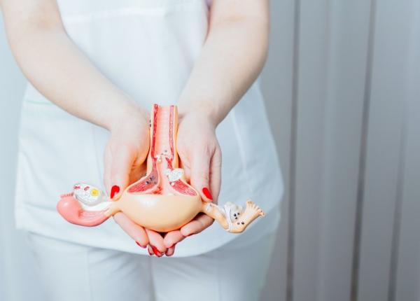 dr rares nechifor 90prc dintre fibroamele uterine pot fi tratate non chirugical prin procedura de embolizare dr rares nechifor 90prc dintre fibroamele uterine pot fi tratate non chirugical prin procedura de embolizare