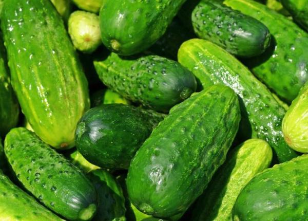 castravetii efectul nebanuit pe care il au asupra inimii