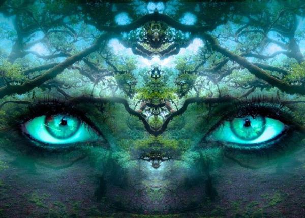 zodiac 3 cele mai mincinoase zodii nu spun decat foarte rar adevarul