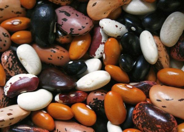ce sa mananci daca vrei sa slabesti 5 alimente bogate in proteine ce sa mananci daca vrei sa slabesti 5 alimente bogate in proteine