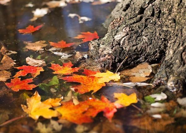 horoscop 23 noiembrie 2021 gemeni te asteapta momente foarte bune fecioara apar tensiuni la serviciu previziuni complete