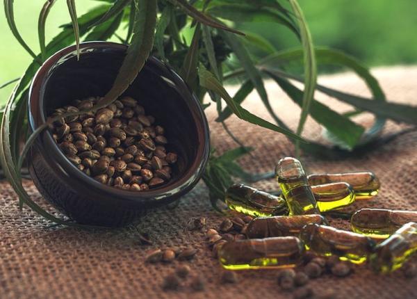 semintele de canepa beneficii nebanuite pentru sanatate iata ce arata dovezile stiintifice