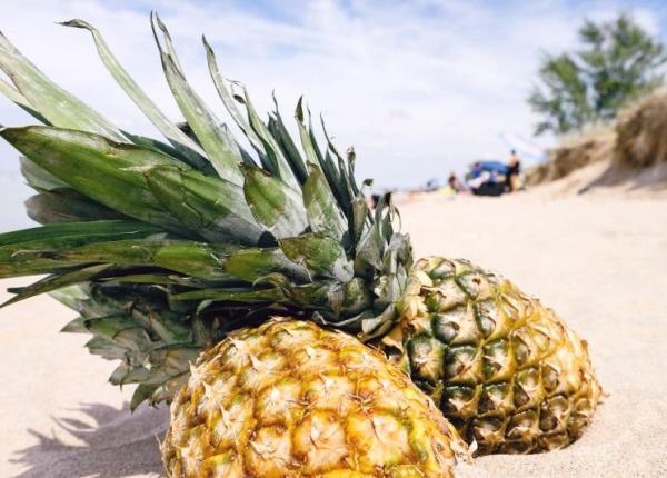 dr mihaela bilic fructul care te face sa slabesti dieta cu care pierzi rapid 5 kilograme