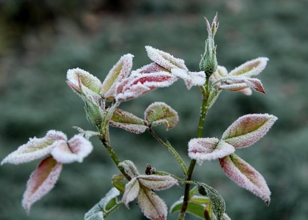 horoscop 6 decembrie 2021 schimbari importante pentru aproape toate zodiile