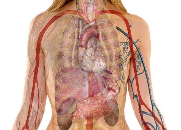 lucrurile marunte despre corpul tau pe care ar fi bine sa le stii