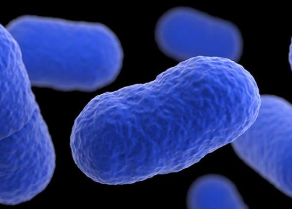 ce este listerioza boala declansata de listeria monocytogenes simptome si gravitate