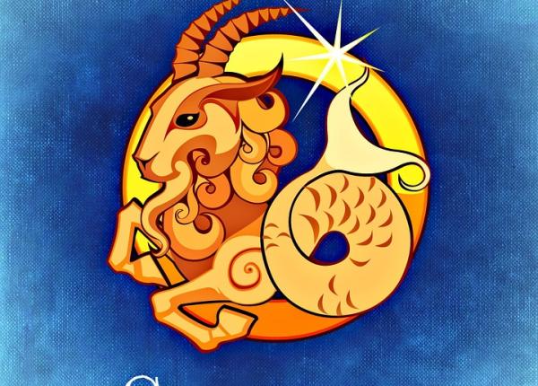 mercur in capricorn 13 decembrie 2 ianuarie si spiritul organizatoric pentru fiecare zodie