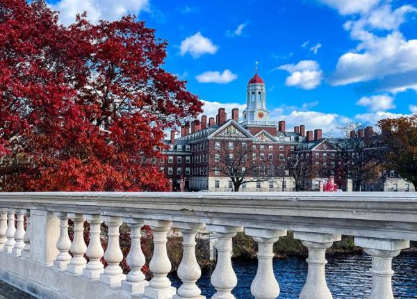 coronavirus universitatea harvard revine la invatamantul online in contextul cresterii cazurilor de covid 19 varianta omicron probabil deja prezenta