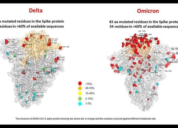 omicron oxford si astrazeneca lucreaza la adaptarea vaccinului lor anti covid