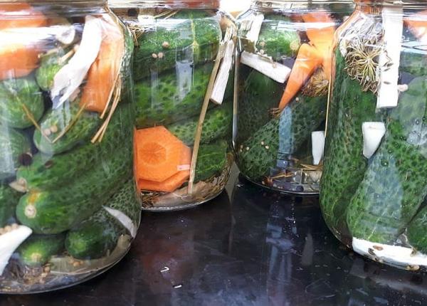 probioticele pot imbunatati functia cognitiva si intarzia aparitia dementei analiza