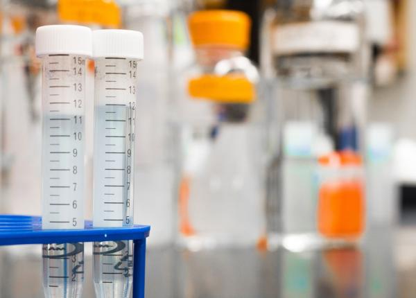 proteina naturala care opreste alergiile si afectiunile autoimune e produsa de organismul uman studiu proteina naturala care opreste alergiile si afectiunile autoimune e produsa de organismul uman studiu