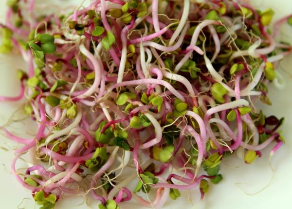 cancer aceste alimente te pot proteja de riscul de a dezvolta cancer