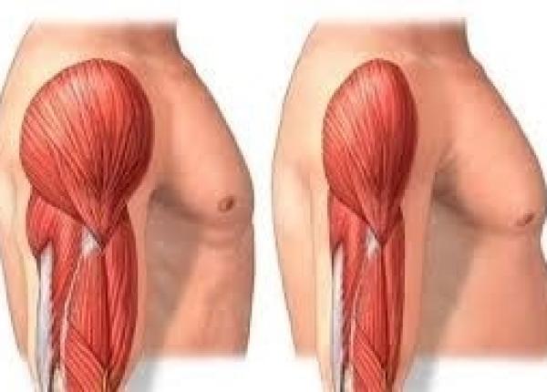 sarcopenia de ce apare pierderea masei musculare si cum o eviti