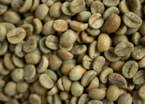 cafea verde ce minuni poate face pentru sanatatea ta