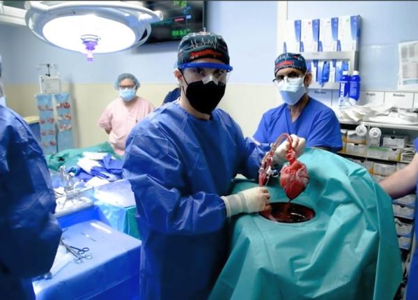 premiera mondiala primul transplant cu o inima de porc modificata genetic intr un om adult cu boala cardiaca terminala premiera mondiala primul transplant cu o inima de porc modificata genetic intr un om adult cu boala cardiaca terminala