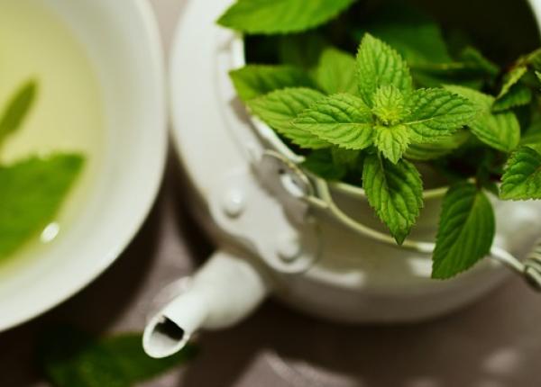 sanatate mintala ierburi care te pot ajuta impotriva stresului si a anxietatii