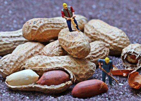 arahide pentru diabetici cate ar trebui sa consume in siguranta