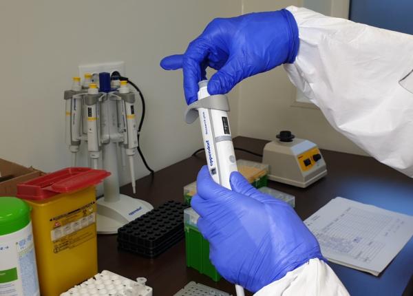 testare rt pcr la domiciliu sau in centrele de recoltare