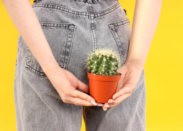 hemoroizii netratati risc de sangerare anemie si durere cumplita dr gabriel mitulescu imaginati va ca in fiecare zi aveti 12 ore de durere