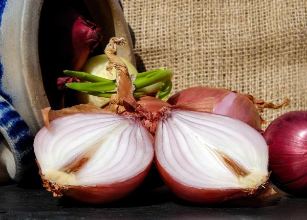 efectele benefice pe care le are in organism ceapa rosie atentie unele simptome pot fi agravate