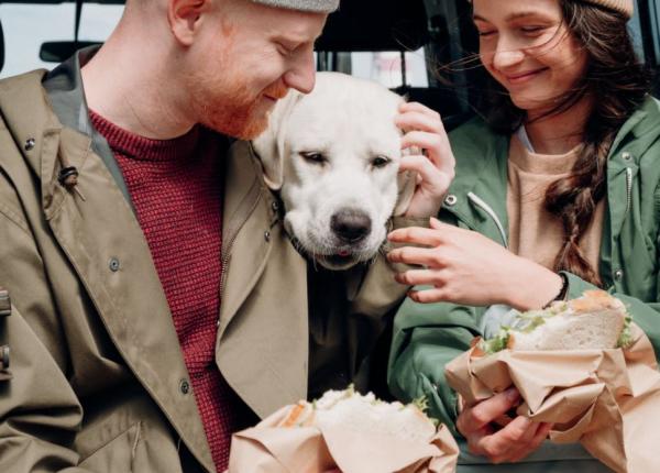 medicul doru negru la cate ore trebuie sa mananci cel mai mare pacat e ca nu alergam