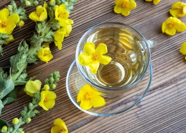 ceaiul de lumanarica 5 beneficii la care nu te asteptai