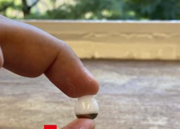 cum arata pastila anti covid bazata pe arn mesager care inlocuieste vaccinul ideea revolutionara care va trata si cancerul sau ulcerul