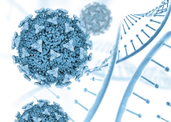 s a descoperit cheia tratamentului pentru cancerul de ficat prof dan gabriel duda a fost o mare bucurie pentru noi s a descoperit cheia tratamentului pentru cancerul de ficat prof dan gabriel duda a fost o mare bucurie pentru noi