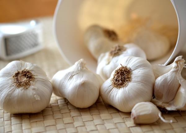 leguma condiment care ne ajuta sa traim mai mult imbunatateste performanta sportivilor leguma condiment care ne ajuta sa traim mai mult imbunatateste performanta sportivilor