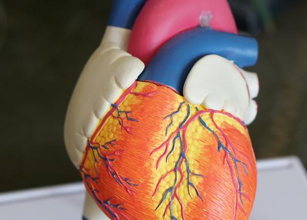 ce este stenoza aortica interventia tavi