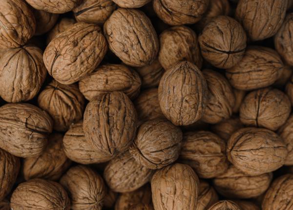 nucile previn boala alzheimer