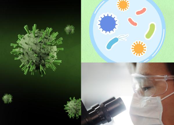 virusurile care pot scapa din laboratoarele din ucraina dupa razboi gindrovel dumitra dupa avertismentul oms sa fie distrusi