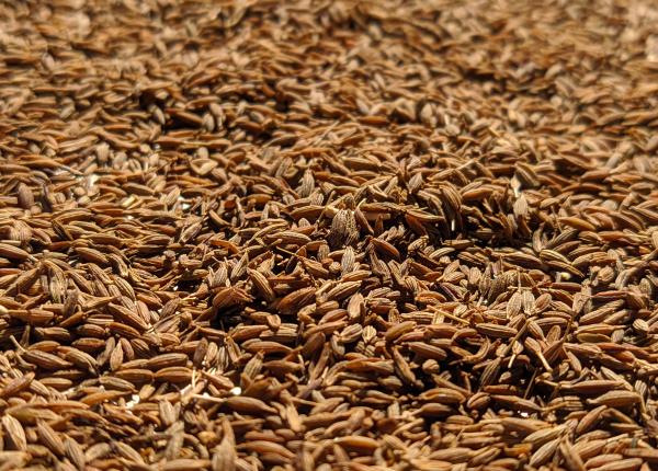 chimenul efect antidiabetic la ce te mai ajuta daca l mananci