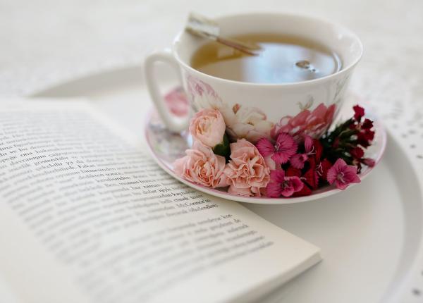 echinaceea ideala pentru cresterea imunitatii dar si pentru imbunanatirea starii psihice