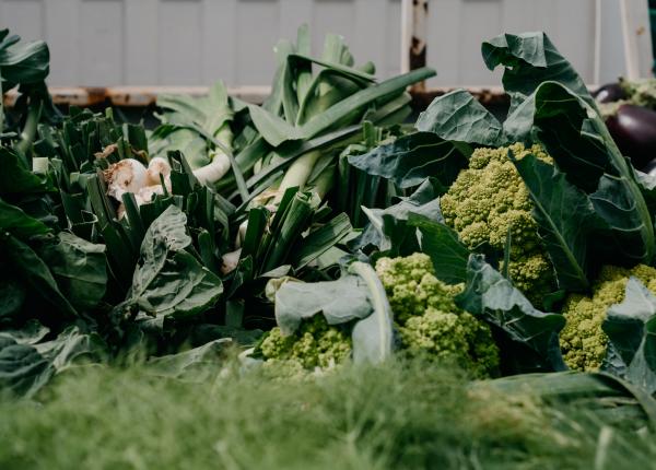 cele 3 verdeturi minune pentru sanatate ciurea schimba sangele