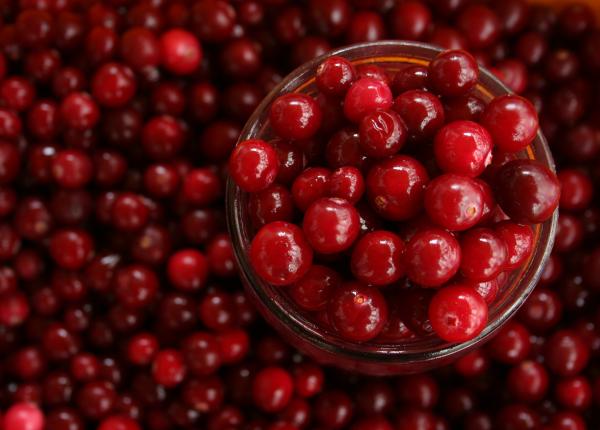 4 beneficii ale consumului de coacaze rosii