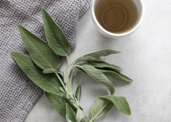 trateaza natural amigdalita