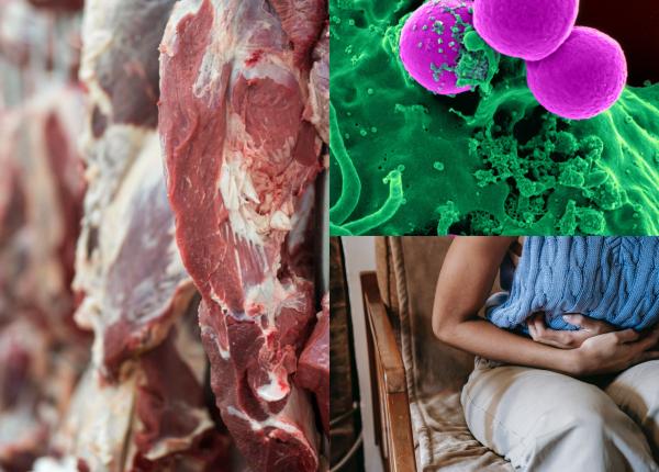 cum stii ca esti infectat cu salmonella interzis sa mananci la regim