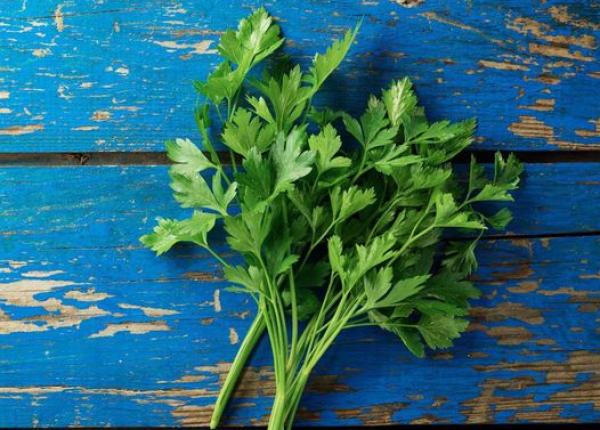 patrunjelul nu ajuta medicii avertisment ferm homeopatele statul la soare masinile scumpe acatistele nu ajuta