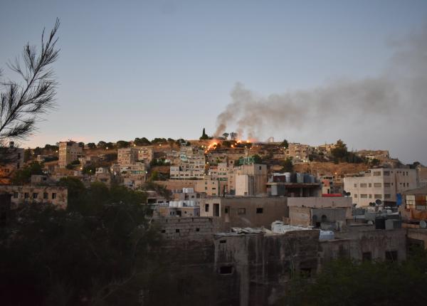 bolile cauzate de poluare dr tincu oamenii trec cu usurinta peste ea