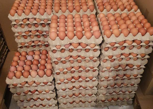 atentie la ouale pentru paste anpc lista neregulilor grave