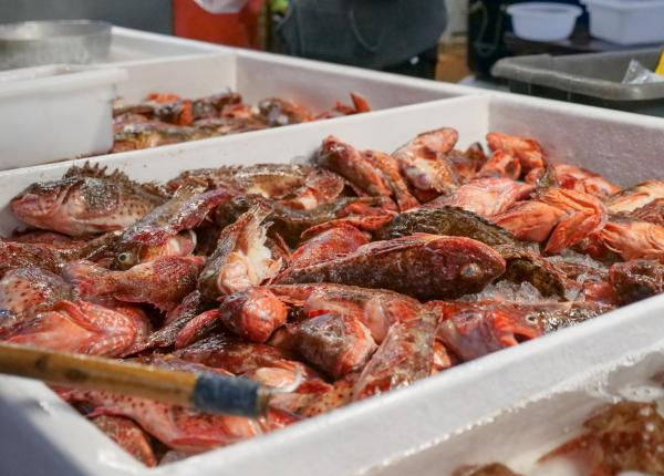 ce trebuie sa stii cand cumperi peste semnele la care sa fii atent mereu