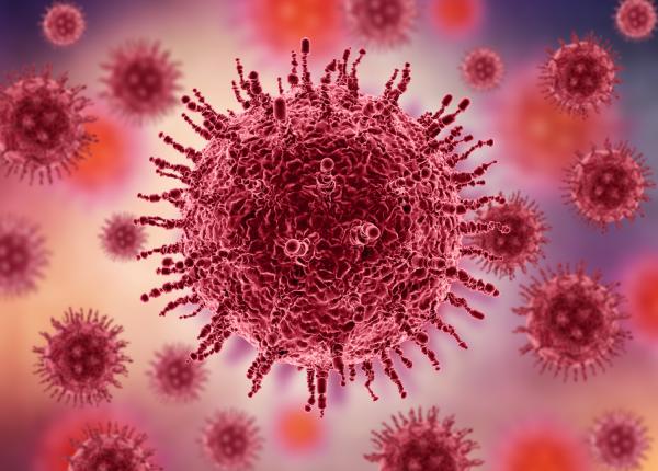 bilant covid 19 19 aprilie 2022 cifrele zilei