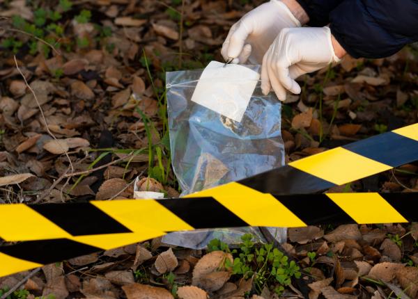 in cat timp se descompune un cadavru prof buda despre dovezile din lume e spectaculos