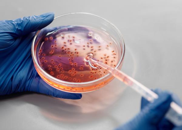 ce este adenovirusul vinovatul pentru hepatita fulminanta