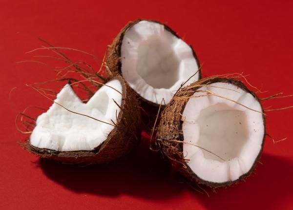 nuca de cocos 6 efecte surprinzatoare ameliorarea bolii alzheimer printre beneficii nuca de cocos 6 efecte surprinzatoare ameliorarea bolii alzheimer printre beneficii